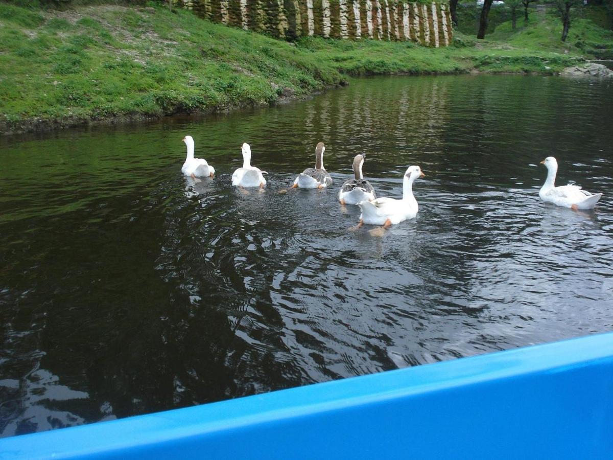 Riverside Resort Lansdowne Buitenkant foto